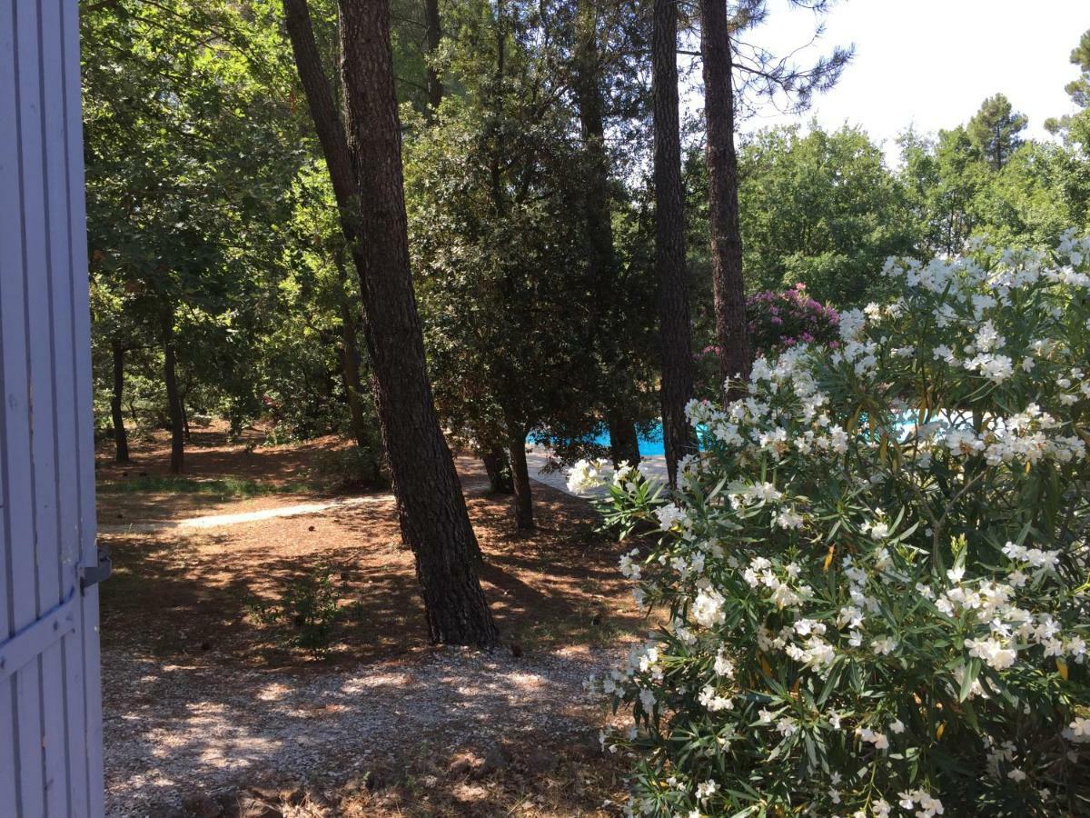 Le Clos Des Cigales Roussillon en Isere Exteriér fotografie